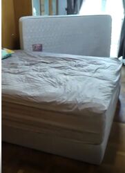 Sun Plaza (D27), Apartment #450192841